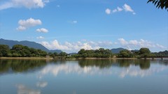 遺言･相続の無料相談会