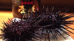 壱岐の店　茂（志免町）