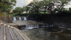仲島水辺公園