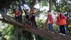 2015年度子供のための自然体験学校　参加者募集