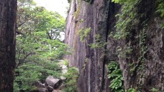 一本松公園(昭和の森･宇美町)から宝満山へ2