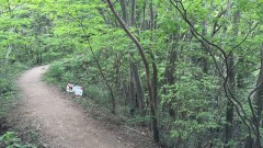 一本松公園(昭和の森･宇美町)から宝満山へ1