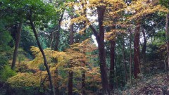 遠見岳　見晴らし最高　久山町
